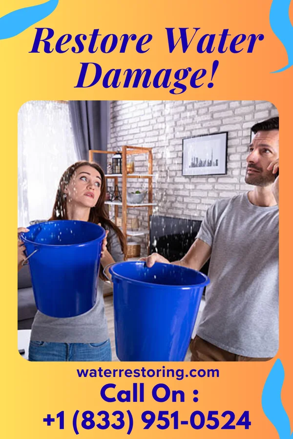 water restoration Stellar Water Cleanup Solutions Gardners